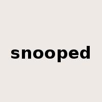 snooped是什么意思