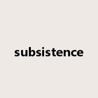 subsistence是什么意思