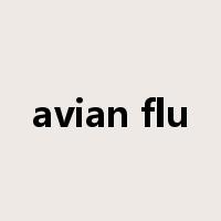 avian flu是什么意思