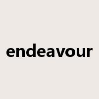 endeavour是什么意思