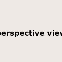 perspective view是什么意思