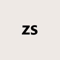 zs是什么意思