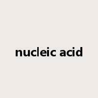 nucleic acid是什么意思