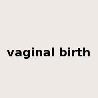 vaginal birth是什么意思