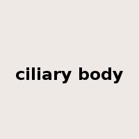 ciliary body是什么意思