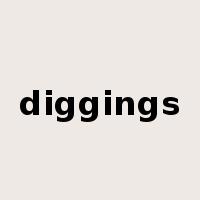 diggings是什么意思