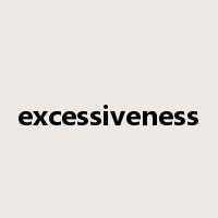 excessiveness是什么意思