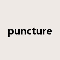 puncture是什么意思