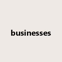 businesses是什么意思