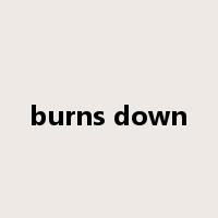 burns down是什么意思