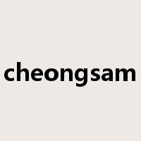 cheongsam是什么意思