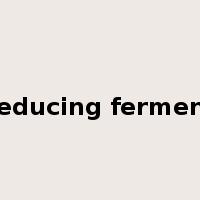 reducing ferment是什么意思