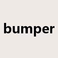 bumper是什么意思
