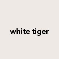 white tiger是什么意思