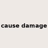 cause damage是什么意思