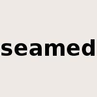 seamed是什么意思
