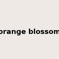orange blossom是什么意思