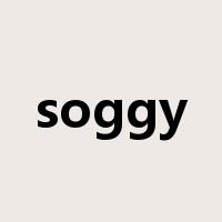soggy是什么意思