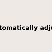 automatically adjust是什么意思