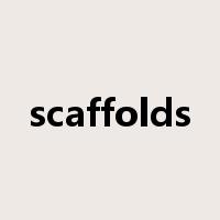 scaffolds是什么意思