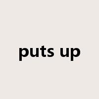 puts up是什么意思