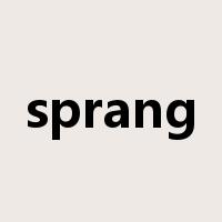 sprang是什么意思