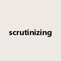 scrutinizing是什么意思