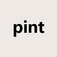 pint是什么意思