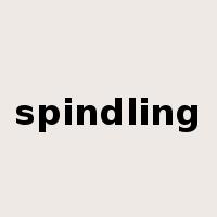 spindling是什么意思
