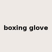 boxing glove是什么意思