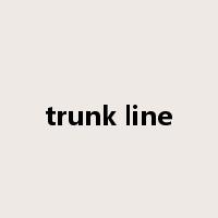 trunk line是什么意思