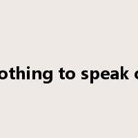 nothing to speak of是什么意思