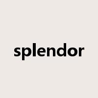 splendor是什么意思