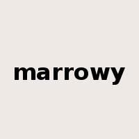 marrowy是什么意思
