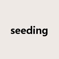 seeding是什么意思