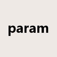 param是什么意思