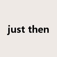just then是什么意思