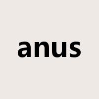 anus是什么意思