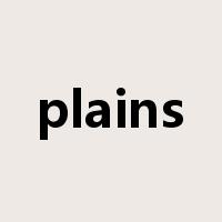 plains是什么意思