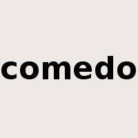 comedo是什么意思