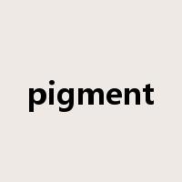 pigment是什么意思