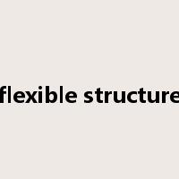 flexible structure是什么意思