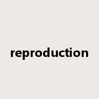 reproduction是什么意思