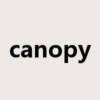 canopy是什么意思
