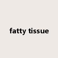 fatty tissue是什么意思