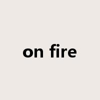 on fire是什么意思