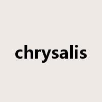 chrysalis是什么意思
