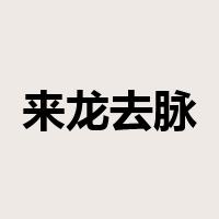 来龙去脉是什么意思