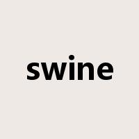 swine是什么意思