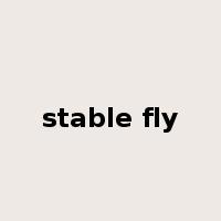 stable fly是什么意思